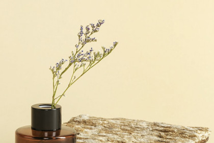 Для отелей и SPA