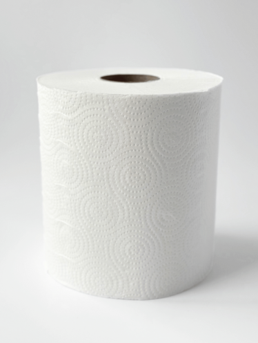 Полотенце бумажное в рулоне 100 м, 2-слойное, белое