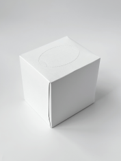 Салфетки косметические белые в квадратном боксе (80 шт)