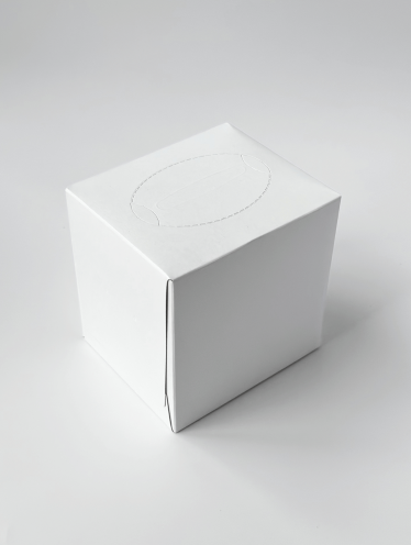 Салфетки косметические белые в квадратном боксе (80 шт)